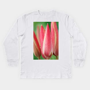 Tulipa clusiana  'Cynthia'  AGM  Lady tulip  Miscellaneous tulip Kids Long Sleeve T-Shirt